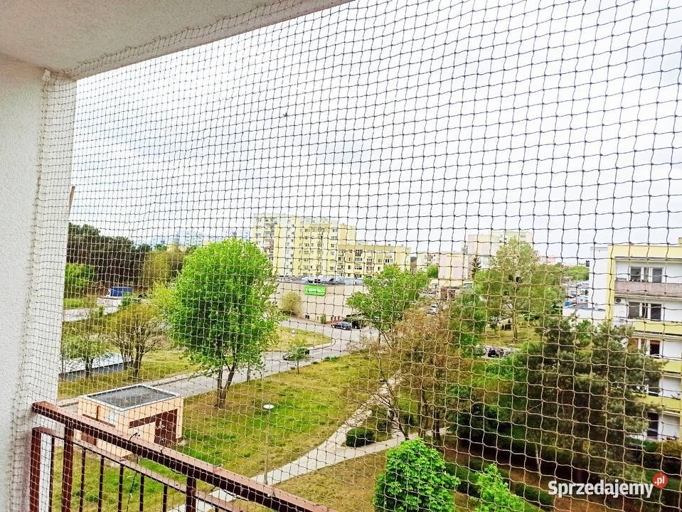 montaż siatki kotów ptaków siatka