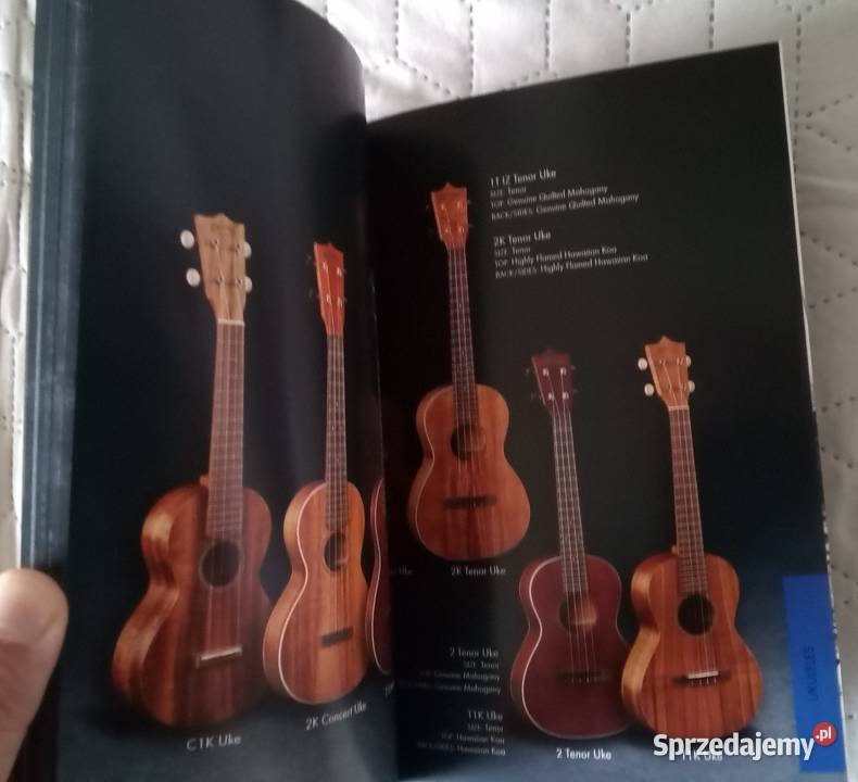 Martin 2016 guitar catalog Limited Editions