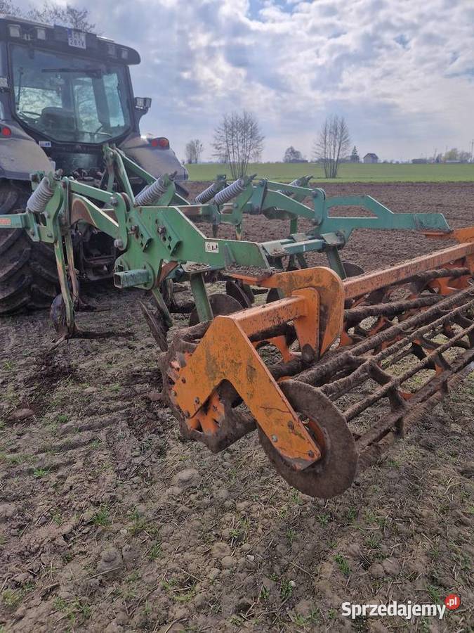 Gruber Amazone Toruń