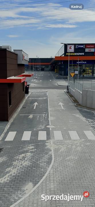 Oznakowanie poziome Katowice Śląsk malowanie