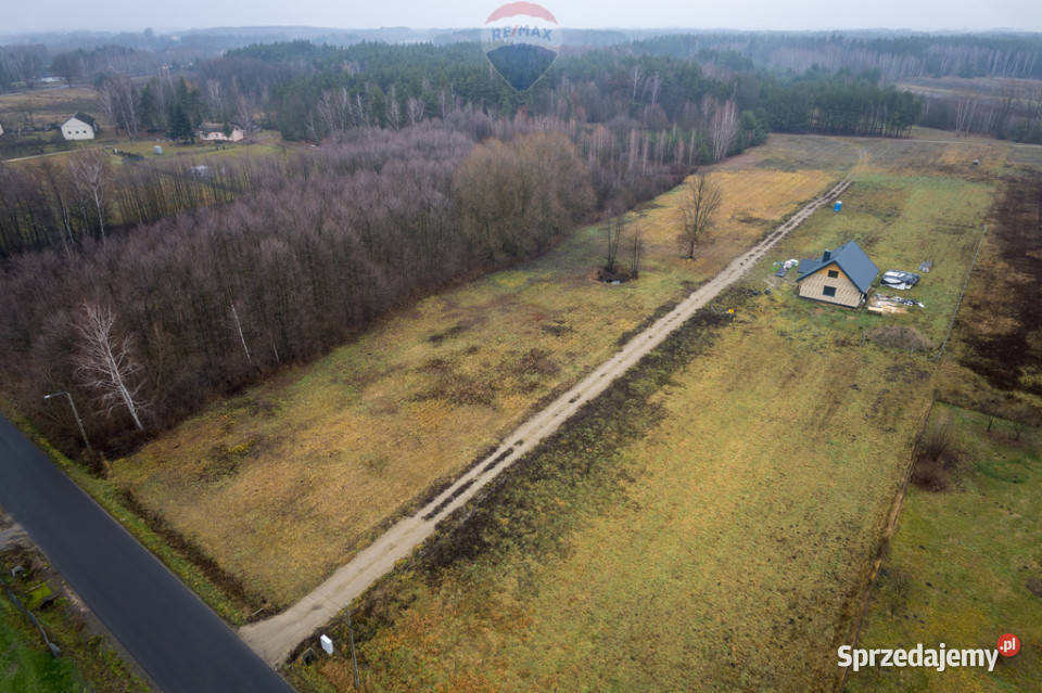 Działa Gaj Żelechowski