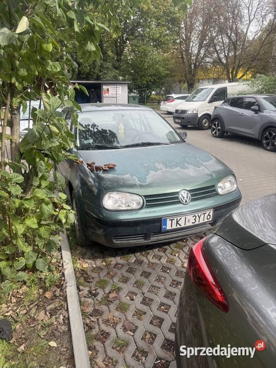 Golf 4 diesel Samochody osobowe Kielce