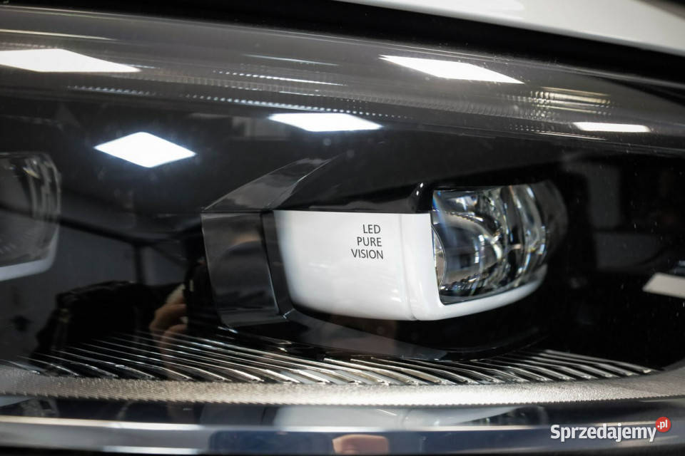 Renault Megane RS TROPHYSalon Rok produkcji 2019 Samochody osobowe