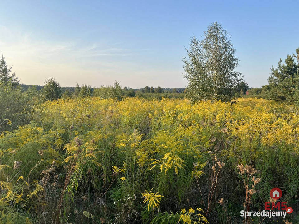 Sprzedam działka 4400m Morze sprzedam