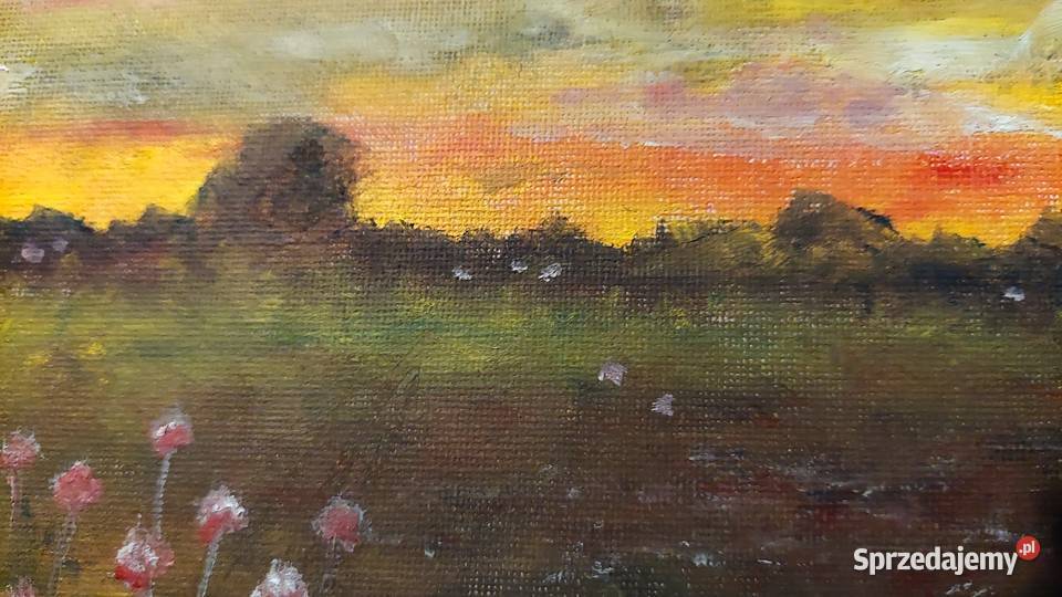 Chata wsią obraz ręcznie malowany Promocja Lublin