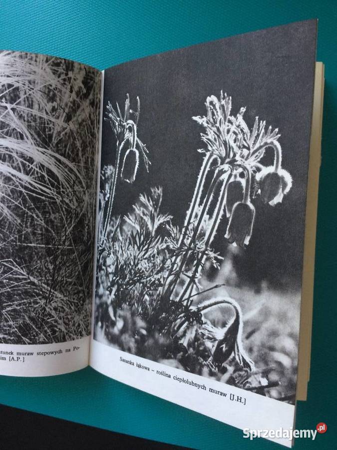 3434 Pojezierze ZachodnioPomorskie Szczecin