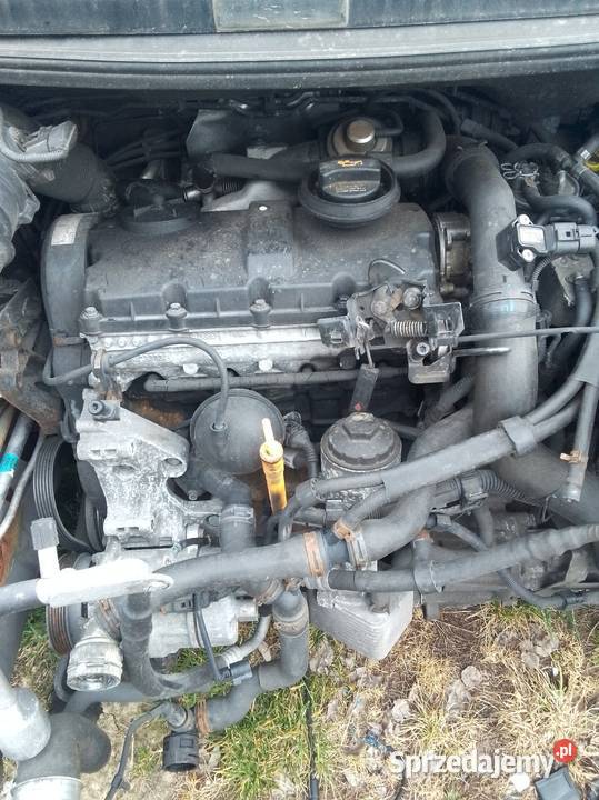 Silnik kompletny 19 tdi seat alehambra Podegrodzie