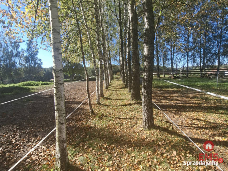 sprzedaży działki Pozezdrze 4800m2