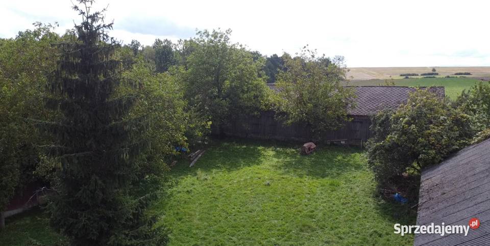 Siedlisko na sprzedaż Płonka sprzedam