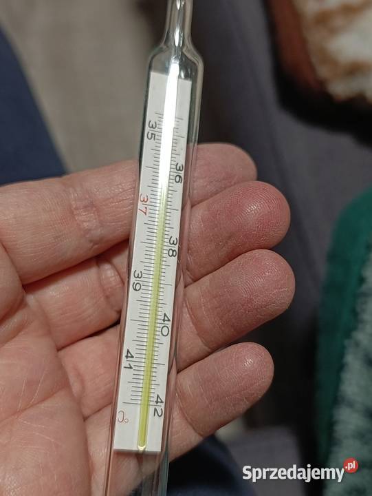 termometr stary Poznań