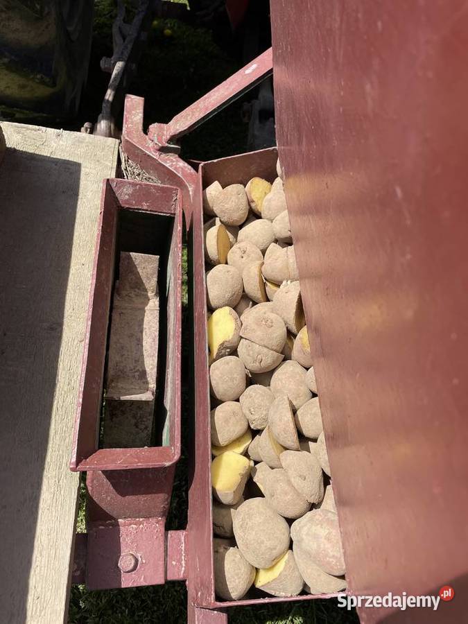 Sadzarka do ziemniaków Siewniki i sadzarki