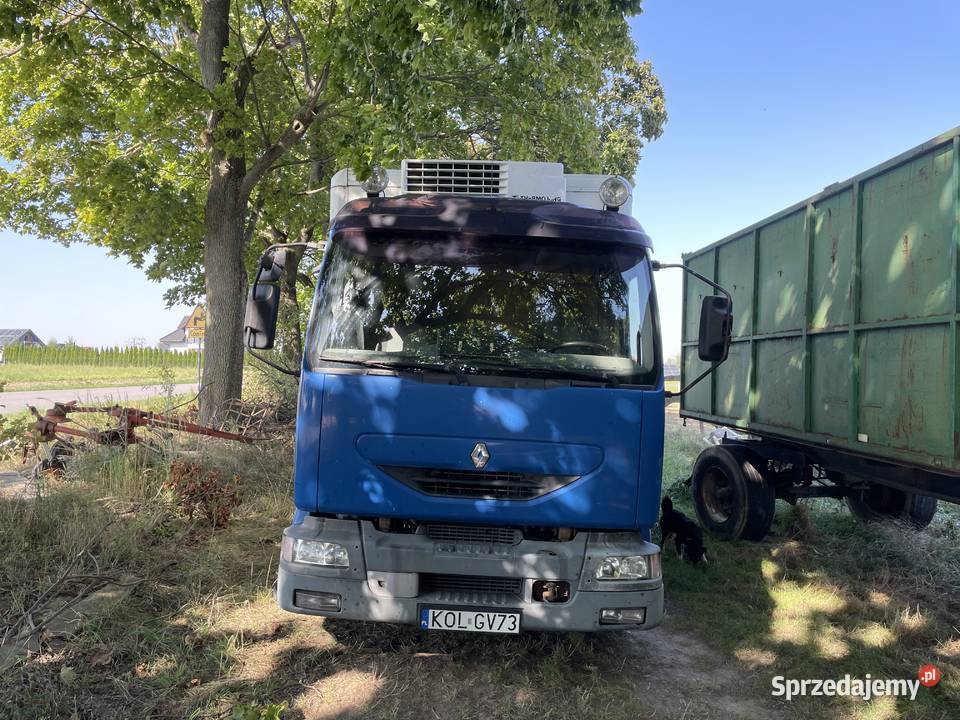 Renault midlum chłodnia ZAMIANA Chłodnie Bychawa