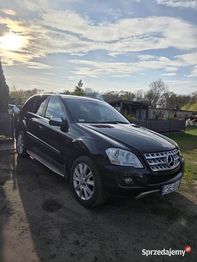 Mercedes w164 diesel wielkopolskie