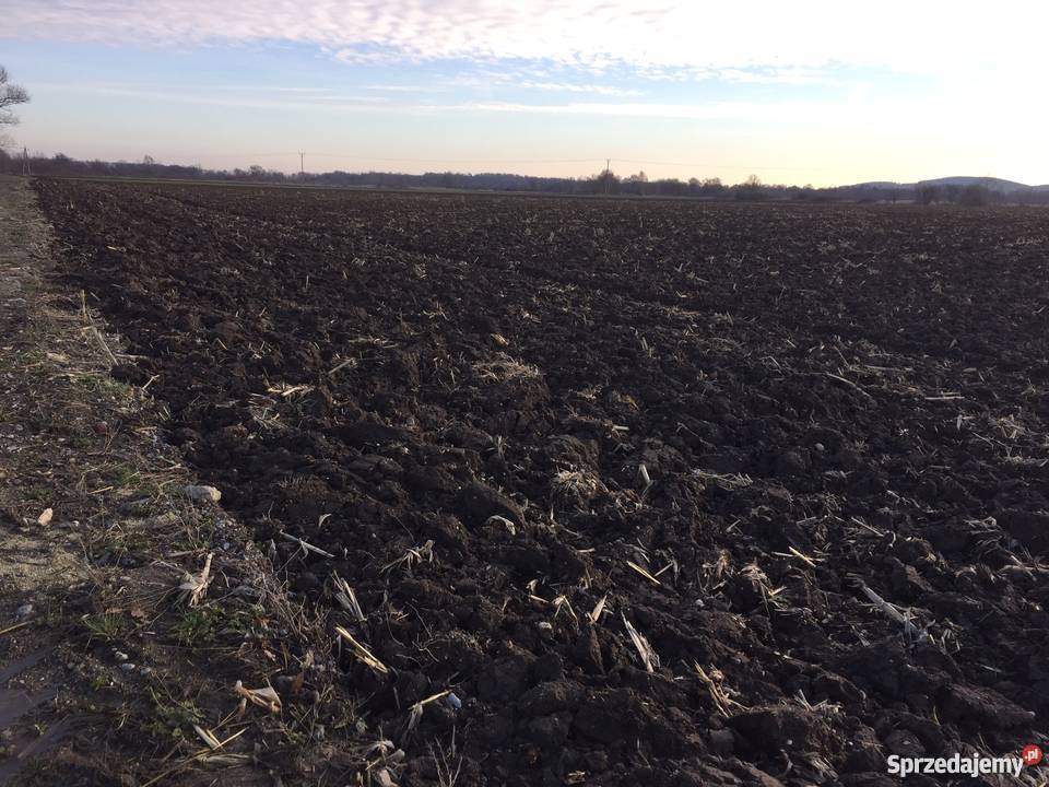 4 HA ZIEMI III KLASY dolnośląskie Rogów Sobócki sprzedam