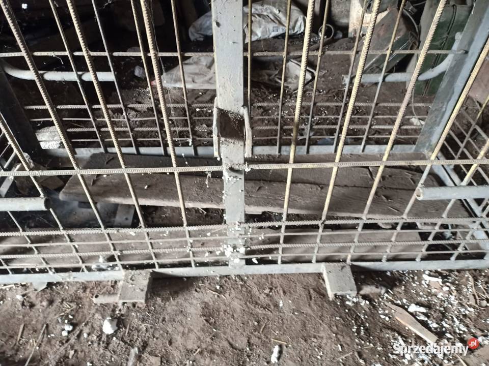 Klatka do przewozu świń innych zwierząt Dla zwierząt podkarpackie Orły usługa dla zwierząt