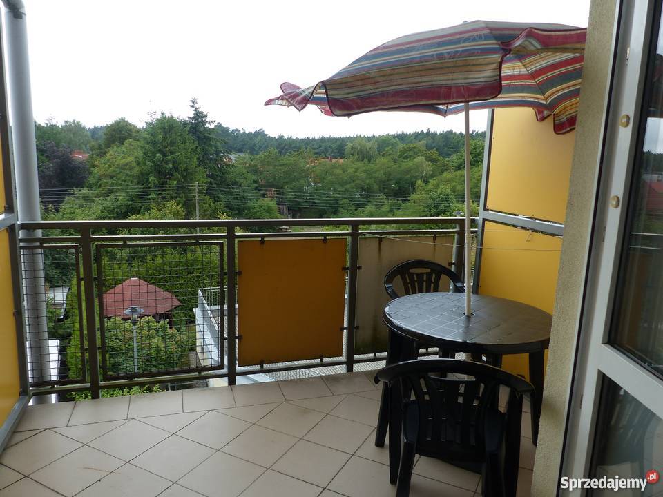 STEGNA MIESZKANIE NA SPRZEDAŻ Z TARASEM I MSC Liczba pokoi 1 Mieszkania sprzedam