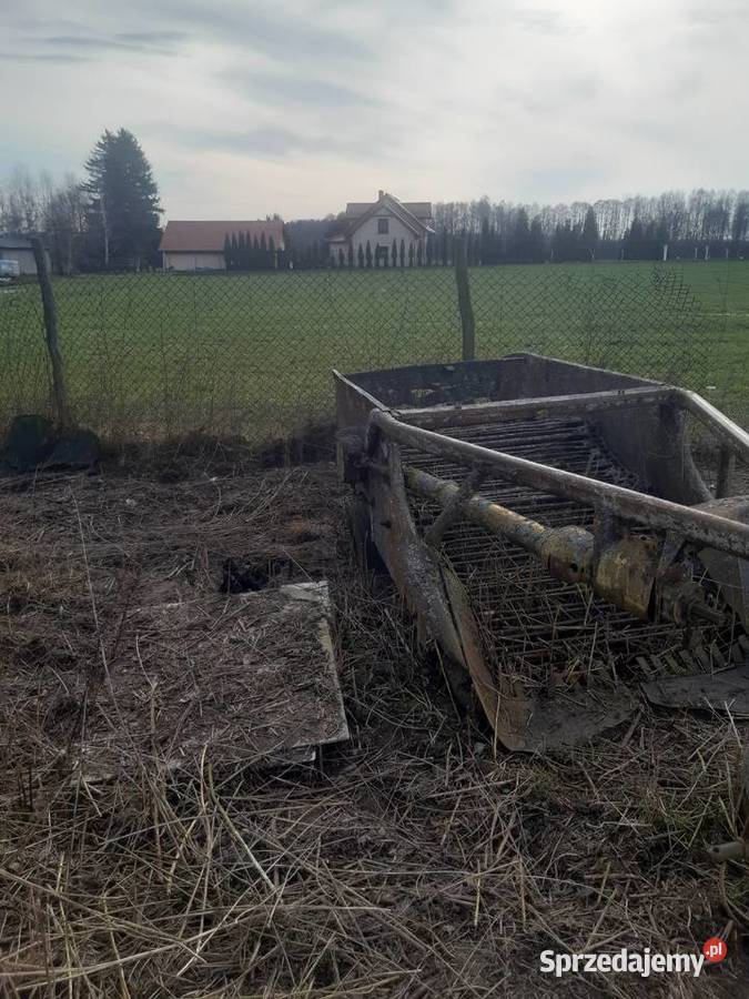 Sprzedam kopaczke warmińsko-mazurskie Iława