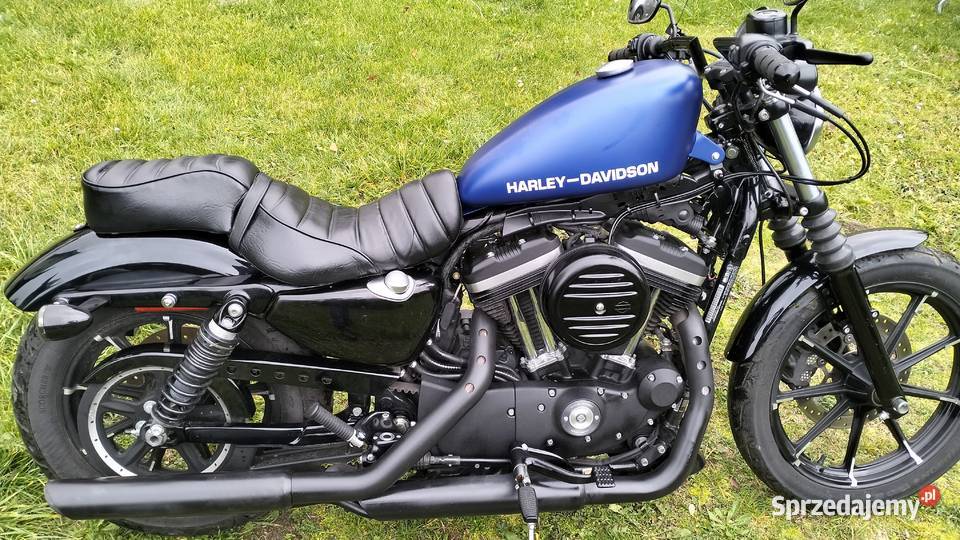 Harley Davidson sportster Iron