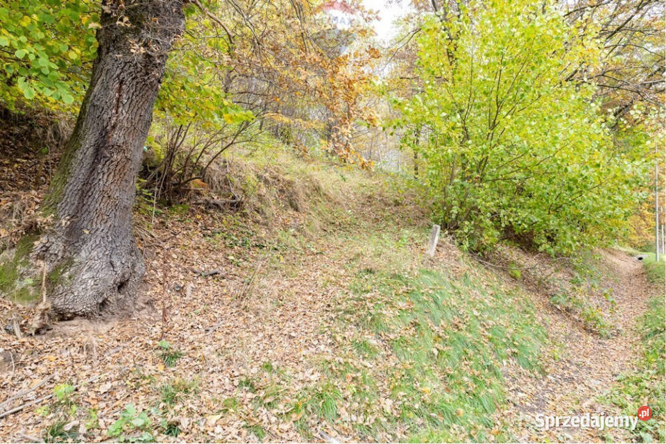 Działka rolna 393 m w Oczkowie jeziora śląskie Żywiec