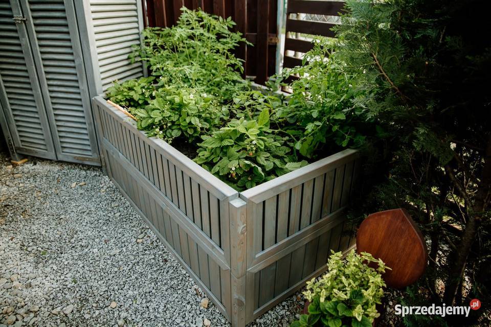 Warzywnik skrzynia ogrodowa zielnik kwietnik Kalety