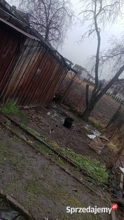 Karczowanie Czyszczenie DziałekWywóz itp Karczowanie i usuwanie drzew Katowice prace ogrodowe