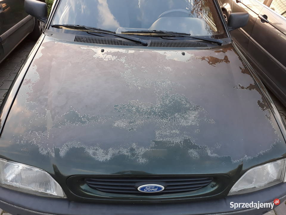 Ford Escort Mk6 13 1994r ŚWIEŻE OC Piaseczno