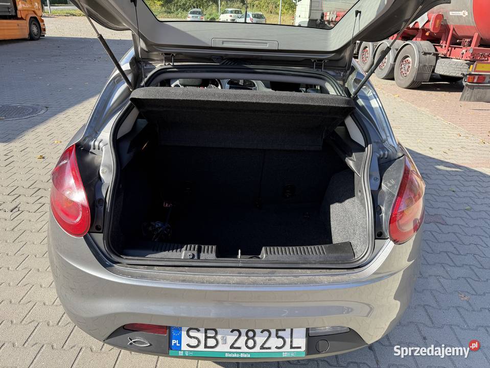 Fiat Bravo 14 turbo 120 Zadbany Nie zgnity Salon Bujaków