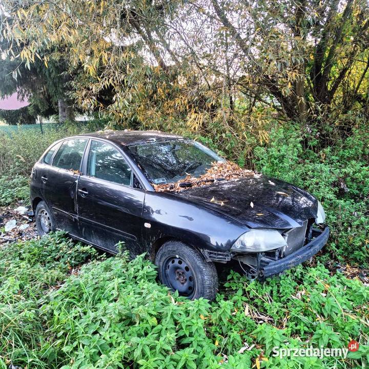 Ibiza 14 16v Kłodzko