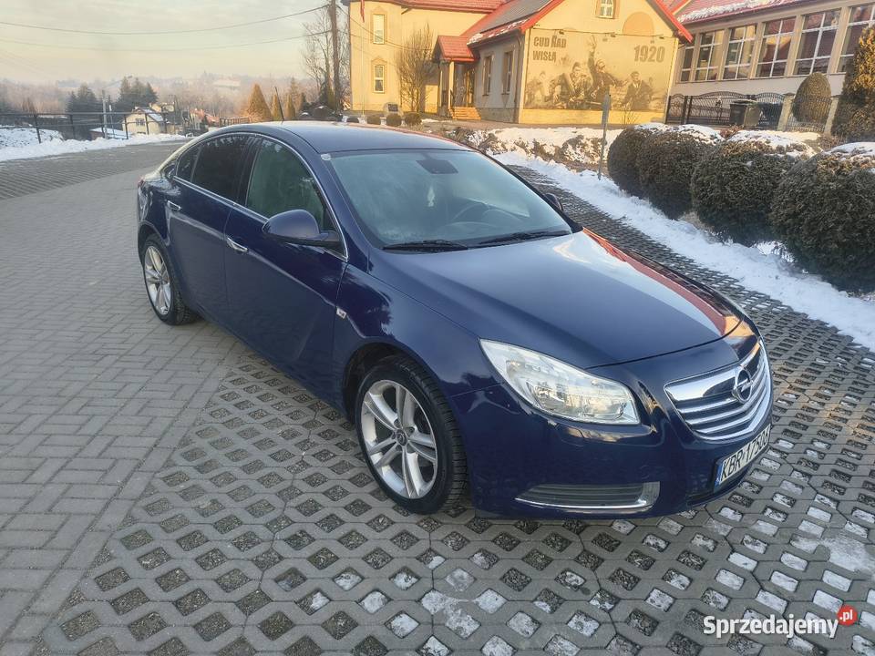 Opel Insignia 20CDTI 2009 Super stan małopolskie Bistuszowa