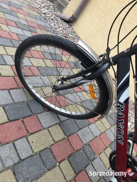 Rower Luna Rayon wielkopolskie Wilczyn