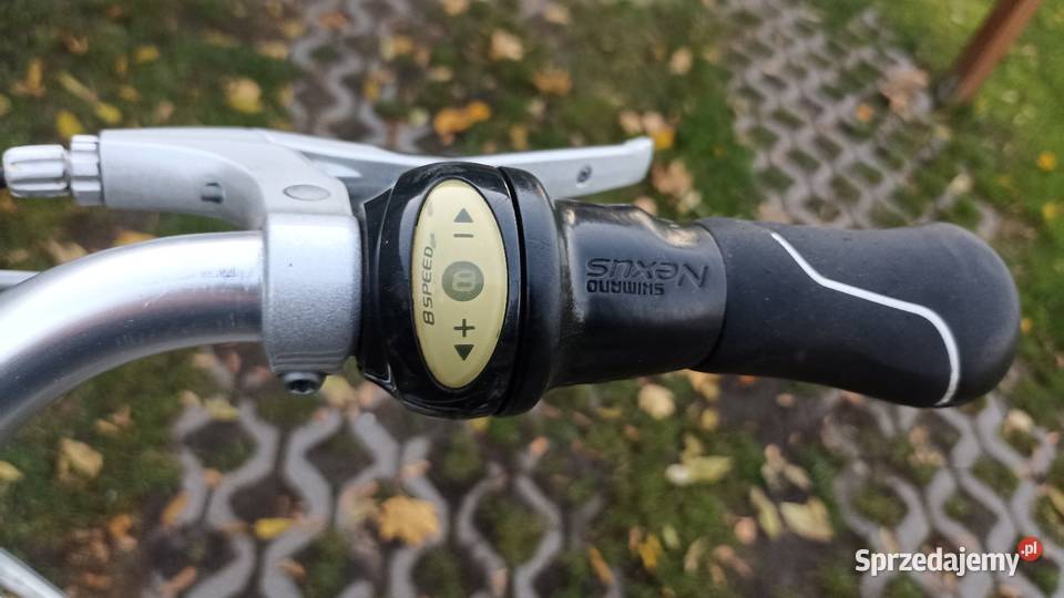 Rower Gazelle Chamonix Comfort Gniezno