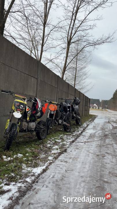 sprzedam mrf 140 ttr Pozostałe sprzedam