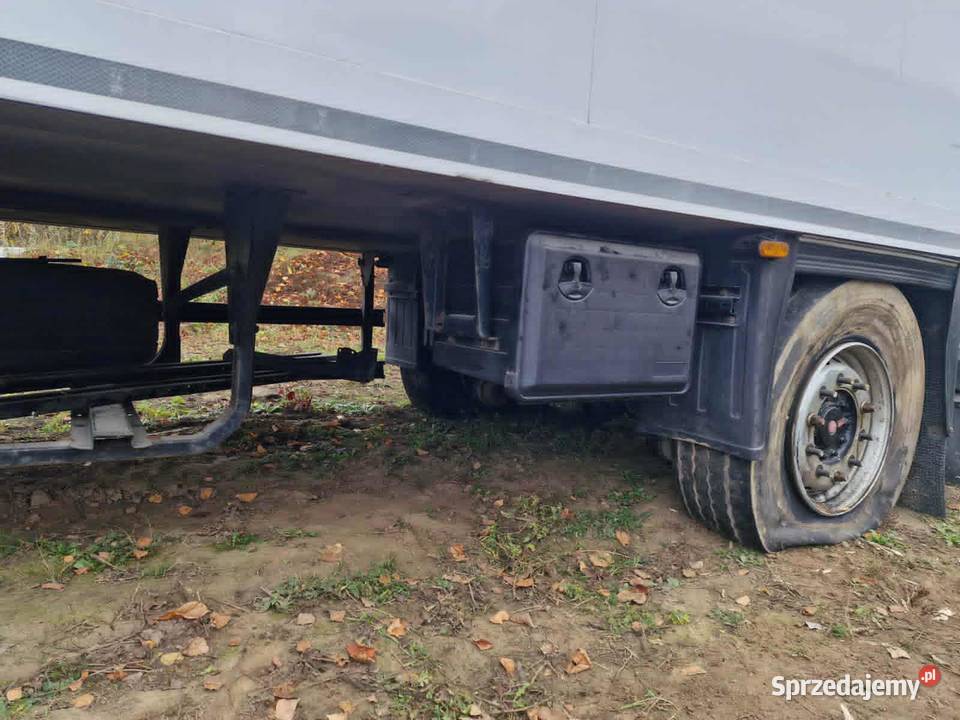 Schmitz Cargobull chłodnie podkarpackie Rzeszów