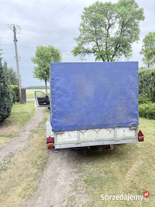 Przyczepa 2 t Burtowe i plandeki Przyczepy i naczepy łódzkie Osjaków