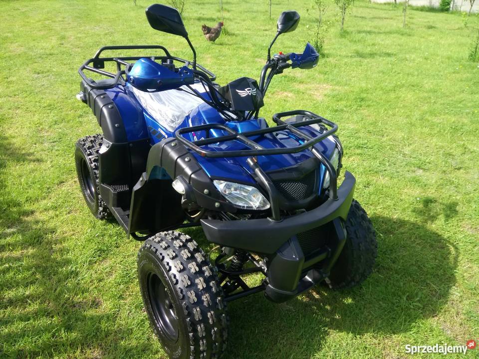 NOWY QUAD ATV BASHAN 250 shineray 250 przebieg małopolskie Przeginia