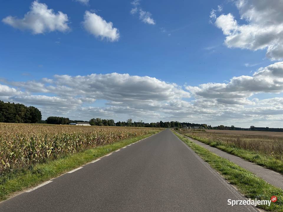 Działka Sosnowo Sprzedaż