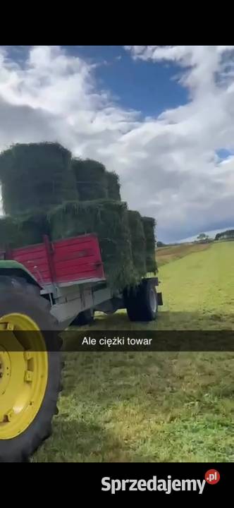 Sprzedam bele lucerny i trawy Poddubówek