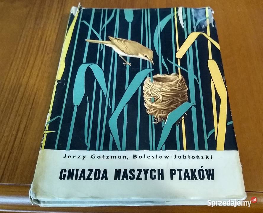 Gniazda naszych ptaków PTAKI Jerzy Gotzman Gdańsk sprzedam