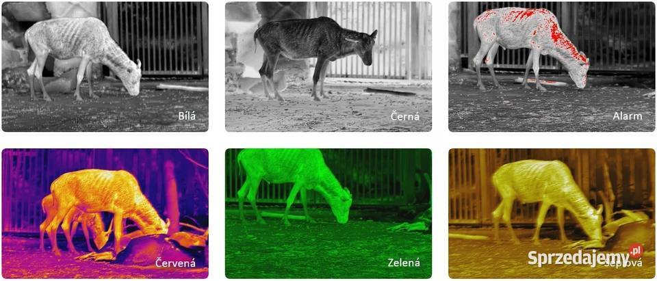 Luneta Termowizyjna Termowizor Celownik wielkopolskie Poznań