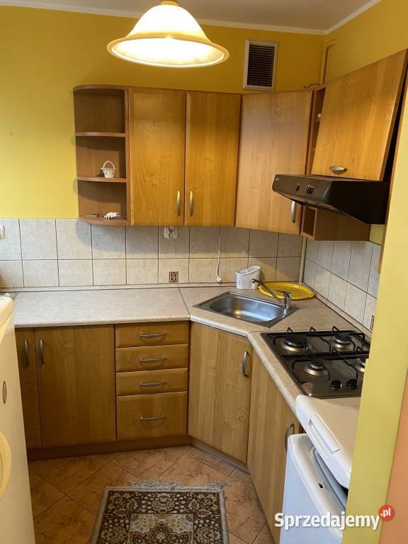 Wynajem małego mieszkania centrum ciepłe piwnica Wrocław