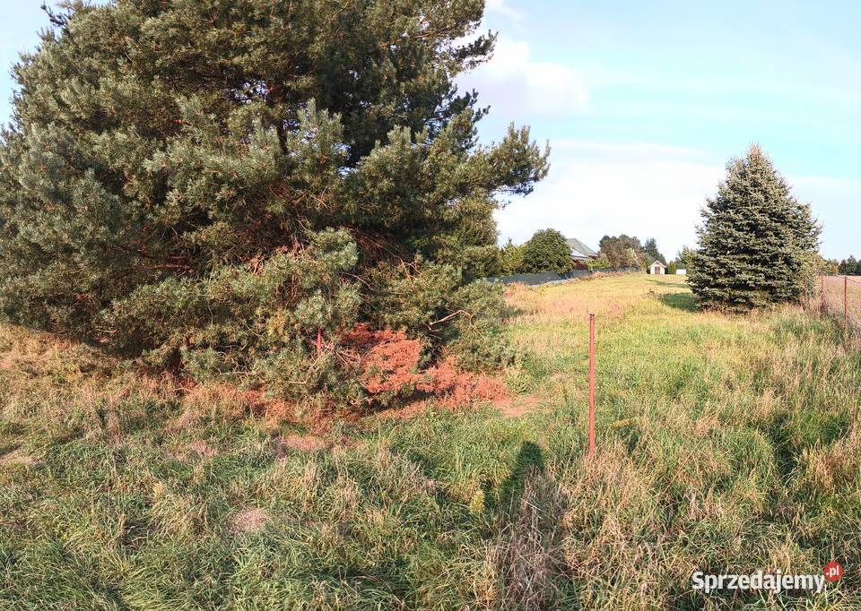 Pałecznica Kolonia 117m Pałecznica-Kolonia sprzedam