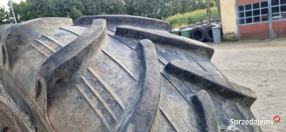80065r32 305LR32 Dnieproschina 90 Claas Jaguar Nowe Miasto Lubawskie