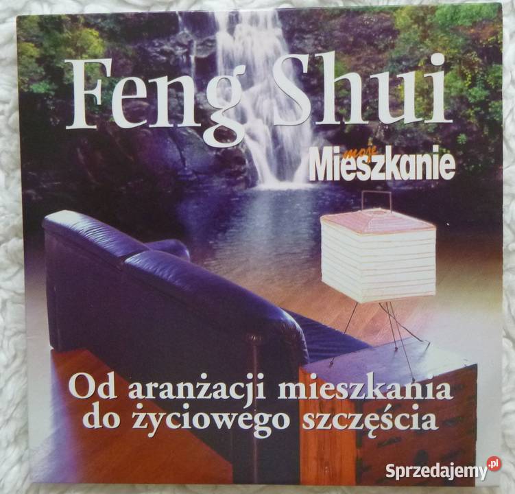 Film VCD Feng shui Warszawa