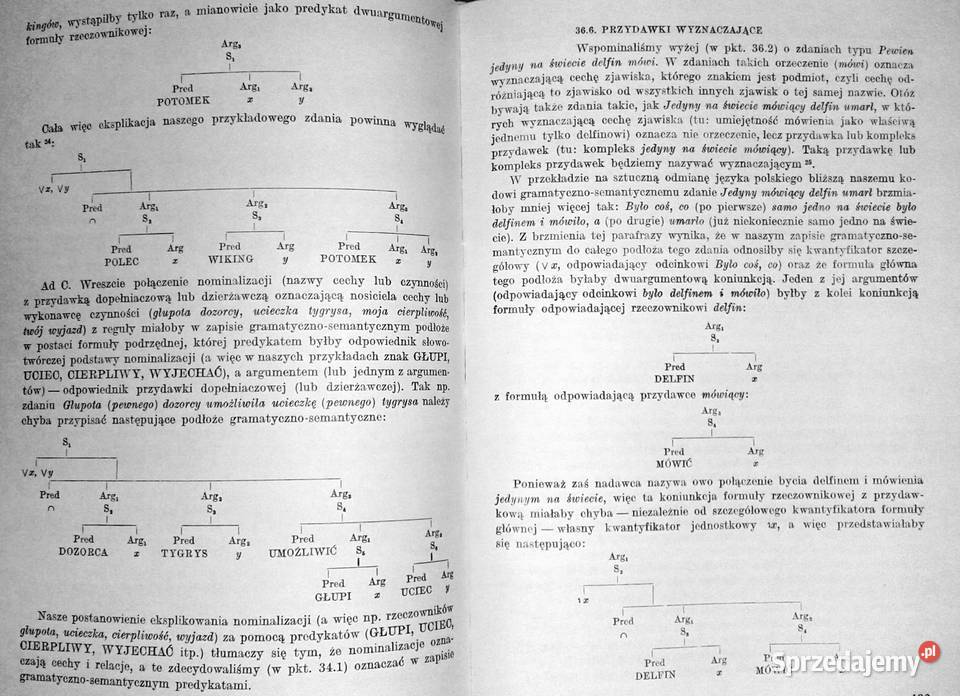 Językoznawstwo ogólne Adam Weinsberg sprzedam