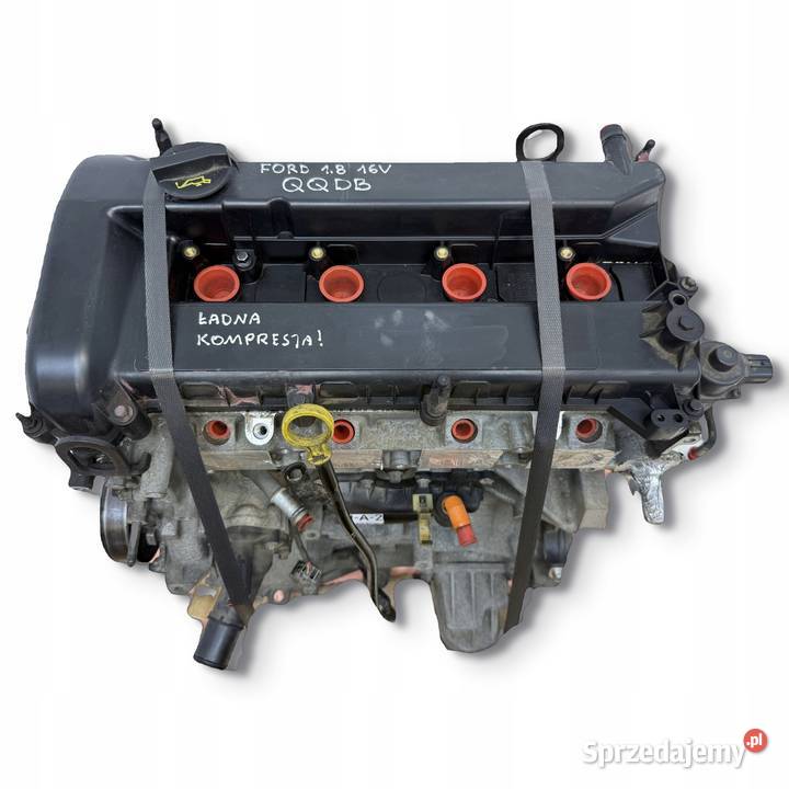 SILNIK QQDB Ford Focus II MK2 C C 18 16V 125 osobowe Chełm sprzedam