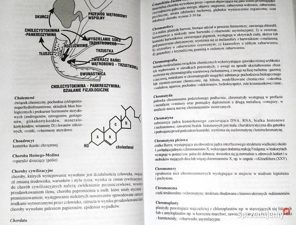 Ilustrowany słownik biologiczny E J Gorzelańczyk Pozostałe Chełm