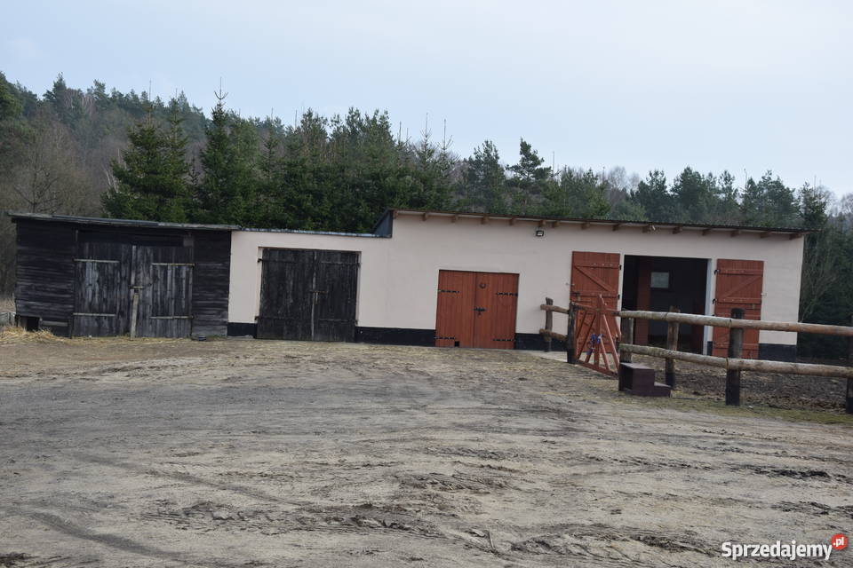 Ferma Drobiu hale produkcyjno przemysłowe pomorskie Miastko