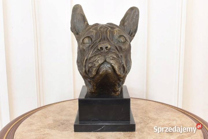 Popiersie Psa Buldog MOPS PIES Figura z Brązu Kraków