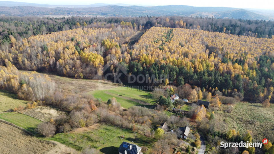 Działka inwestycyjna Cisów 22 500 m