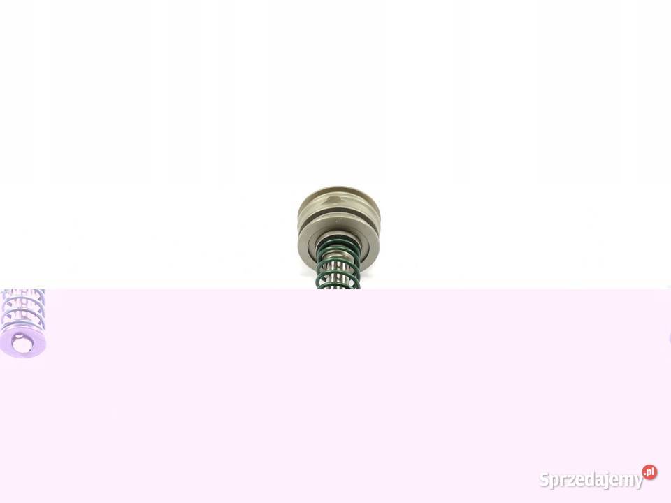 TŁOK POMPY WTRYSKOWEJ BOSCH OPEL ASTRA G 20 DTI